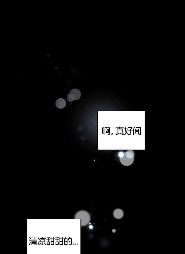 天生冤家漫画漫画,第14章：决意离开4图