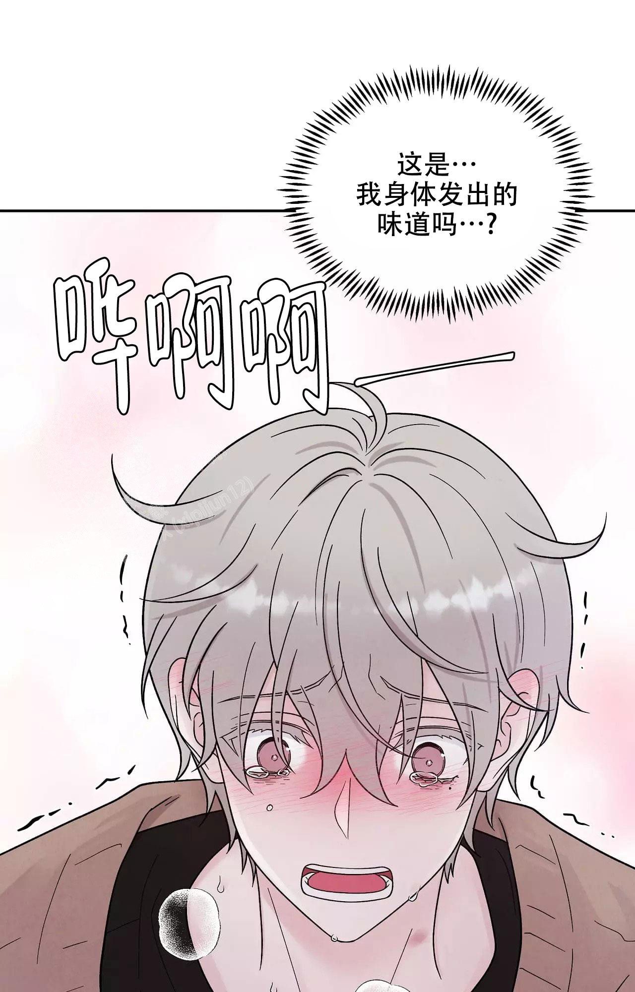 一夜失忆漫画漫画,第33章：变成这样1图