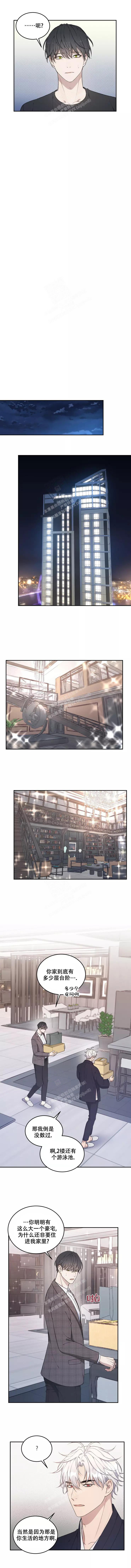 青鹤谷官网漫画,第58章：独自回国4图