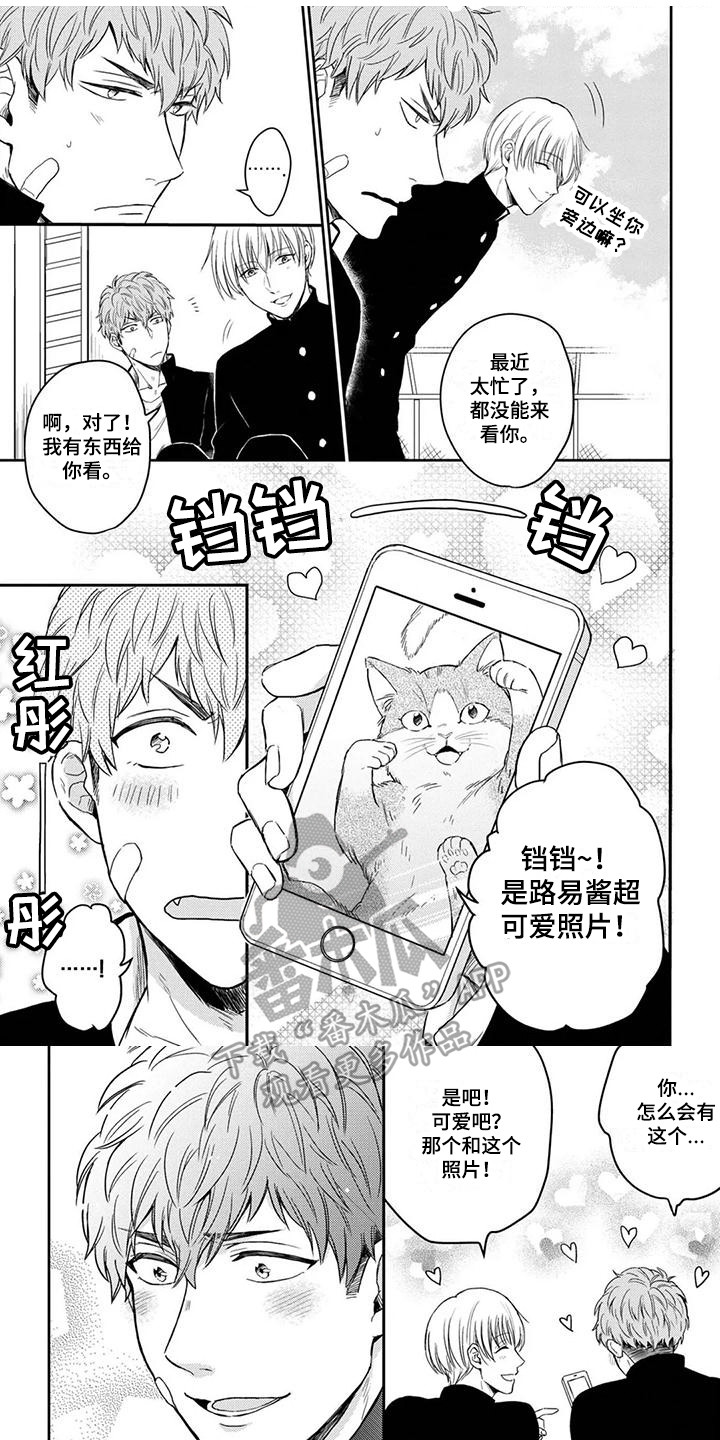 夜的奖励漫画免费阅读漫画,第29章：决绝8图