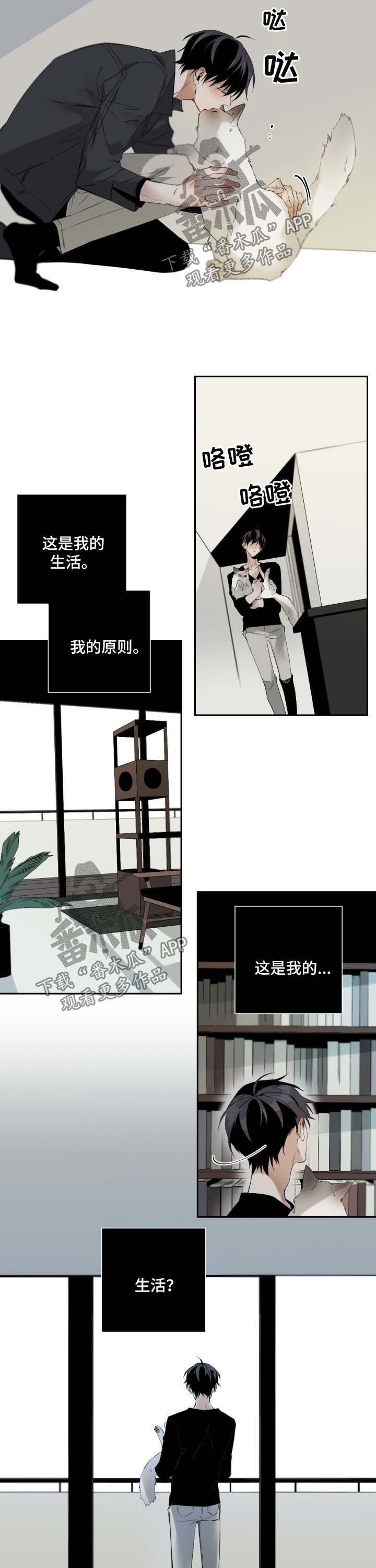 好友环绕漫画漫画,第18章：欢迎仪式1图