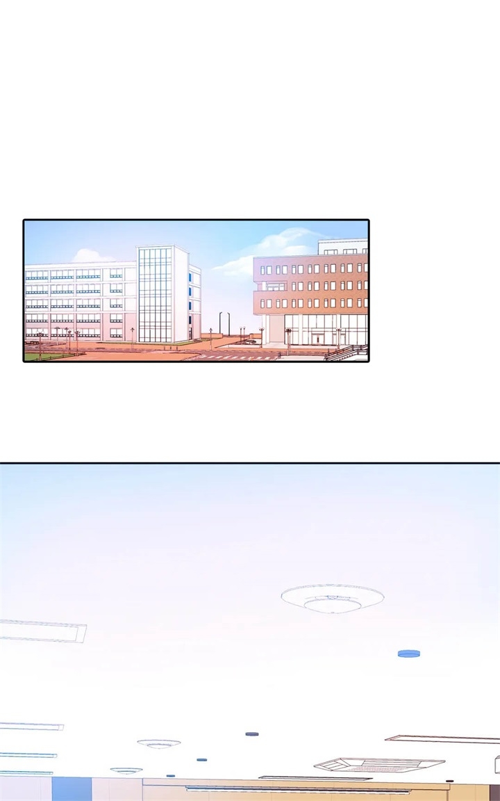 主刀医生漫画漫画,第67章：赌上自己的命运8图