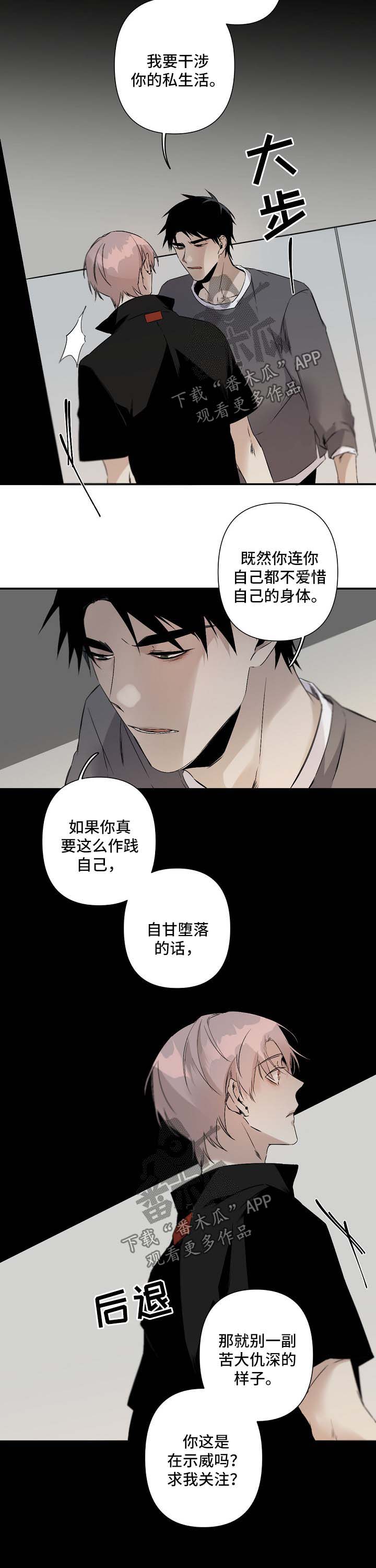 好友环绕漫画漫画,第39章：聚餐1图