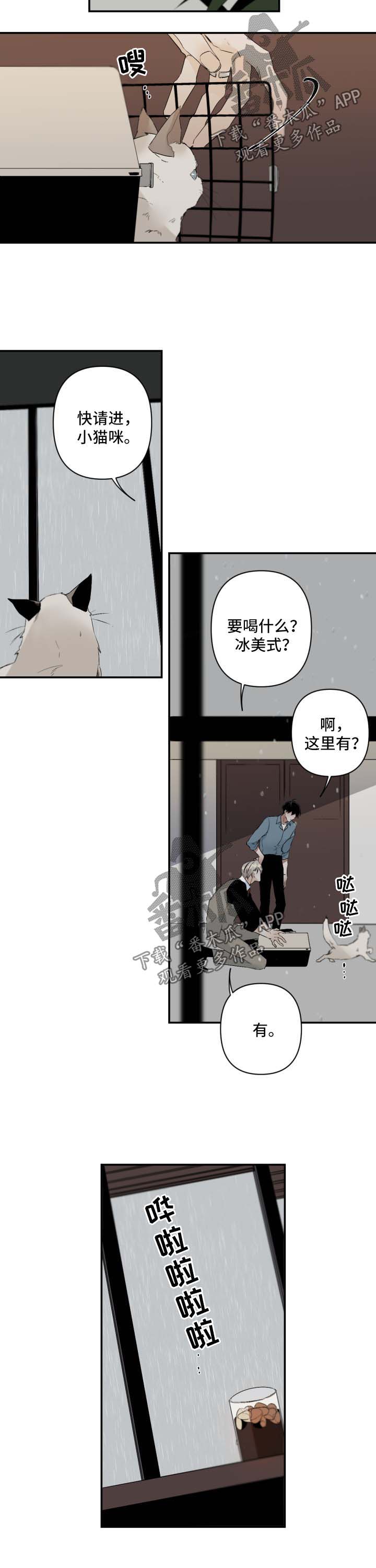 好友环绕漫画漫画,第33章：打赌1图