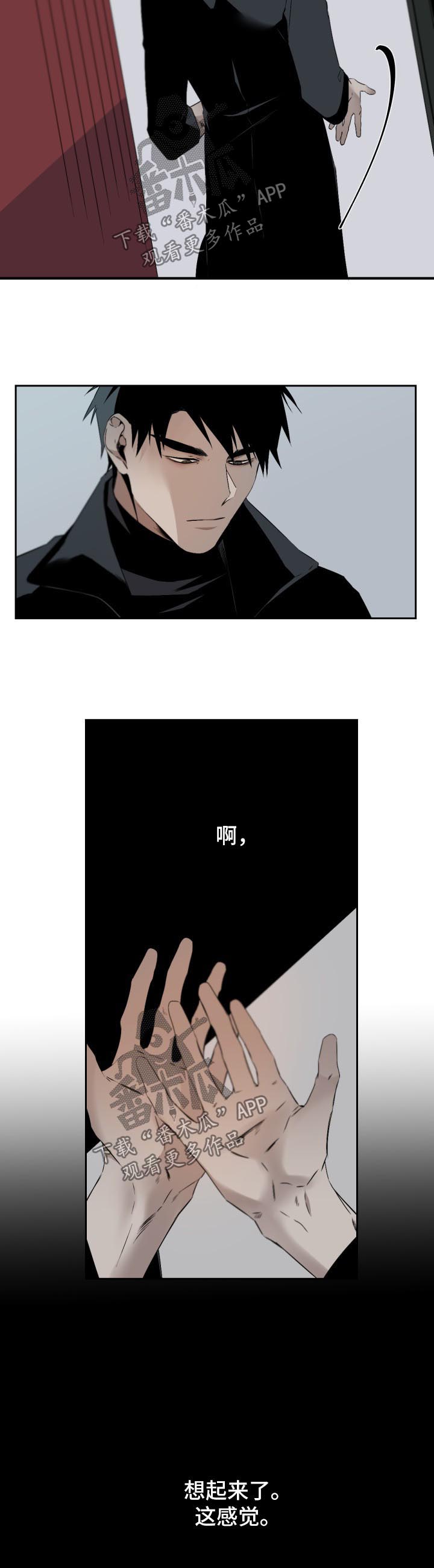 超骑士剑魂漫画漫画,第49话 499图