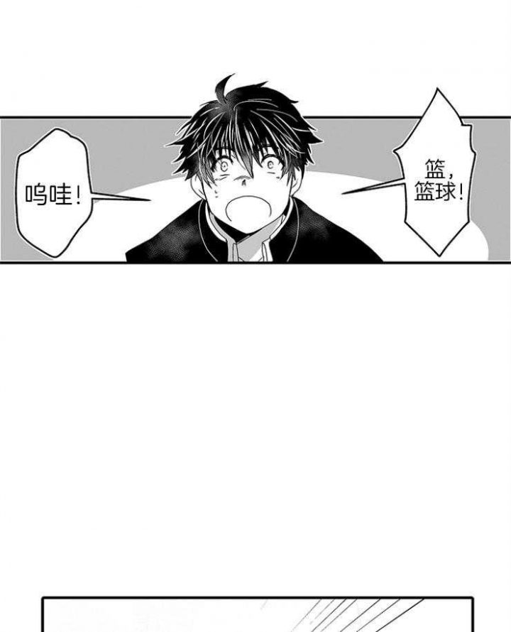 视角多样化漫画在哪里看漫画,第16话 1610图