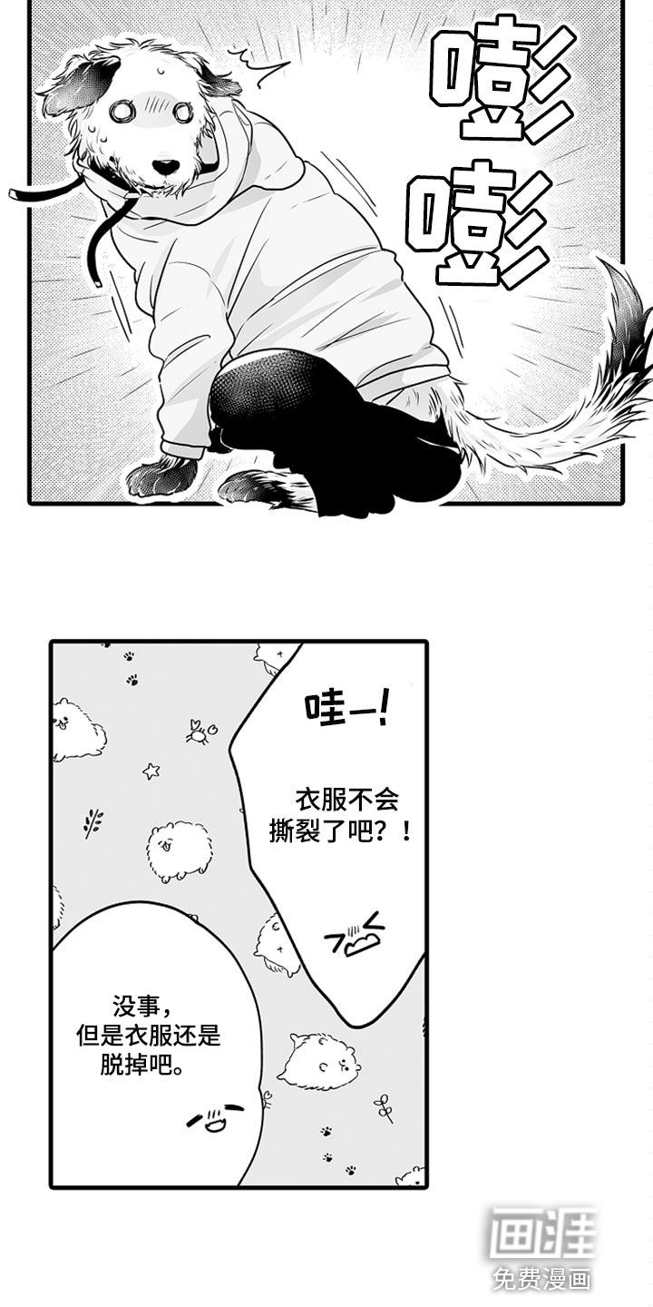 森林中的熊漫画漫画,第19章：睡懒觉6图