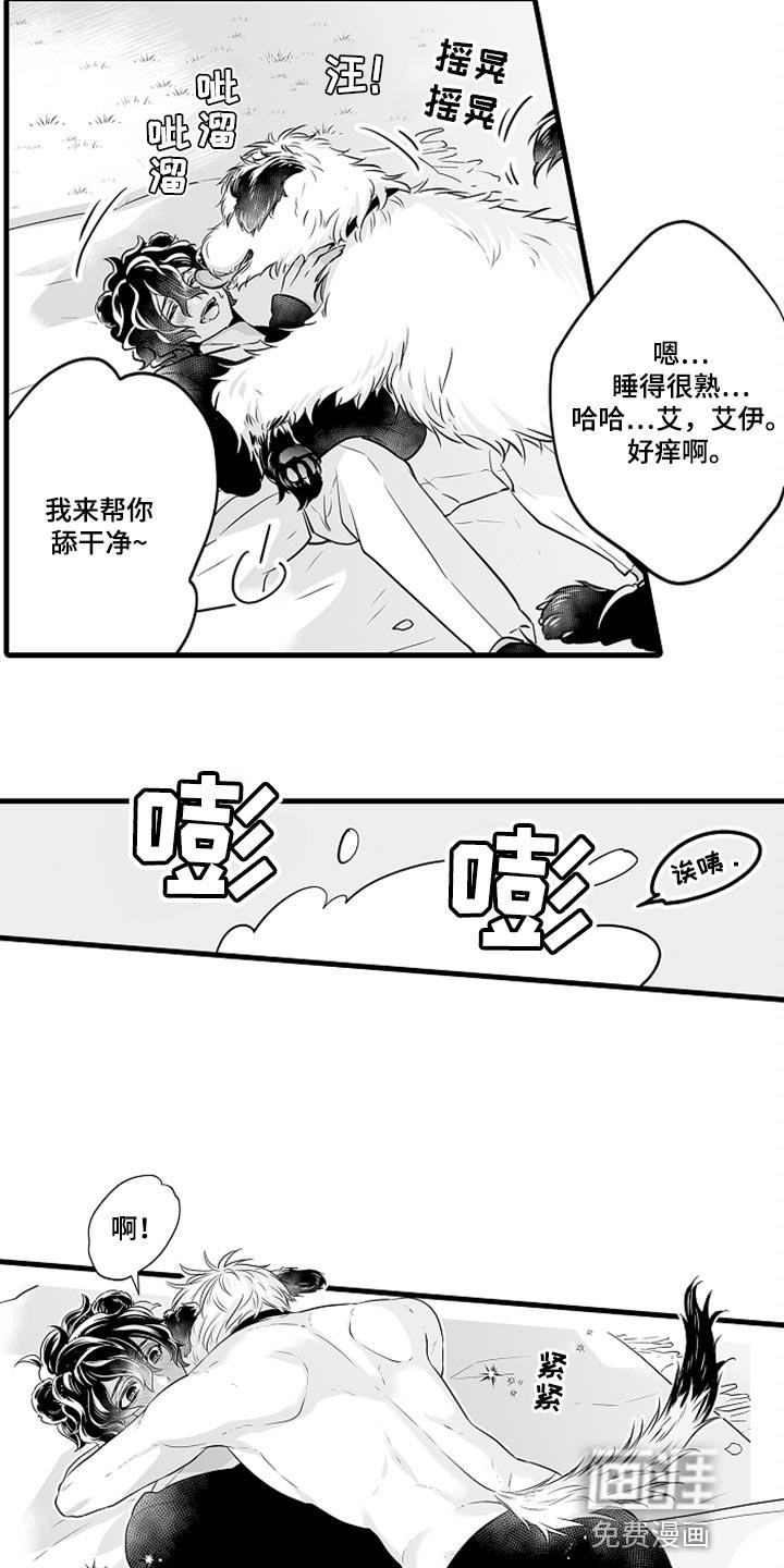 森林中的熊漫画漫画,第19章：睡懒觉11图