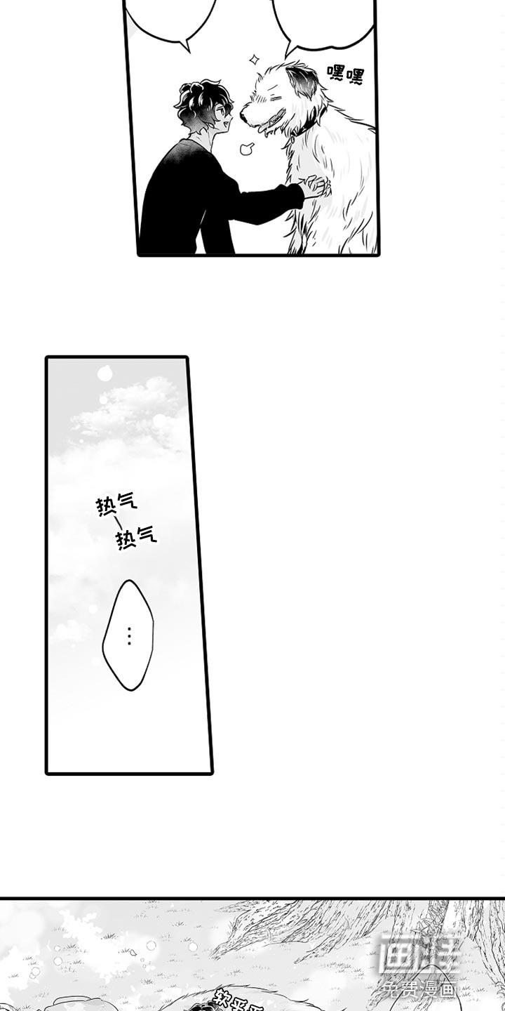 森林中的熊漫画漫画,第19章：睡懒觉8图