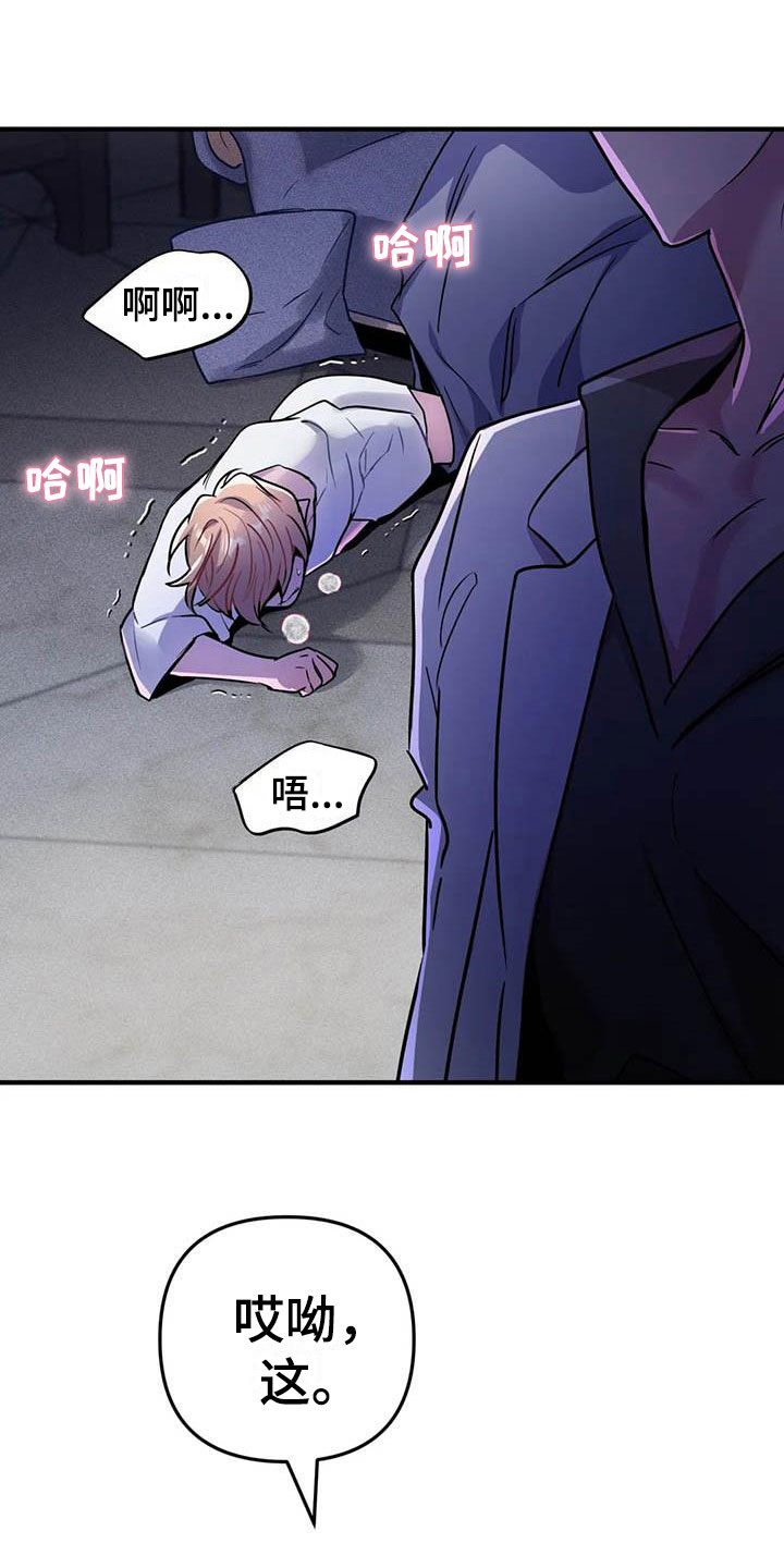 家人的含义是什么?漫画,第17章：测试8图