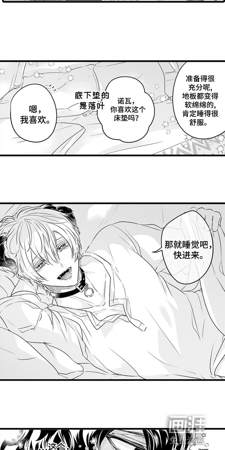 森林漫画图片漫画,第38章：心动6图