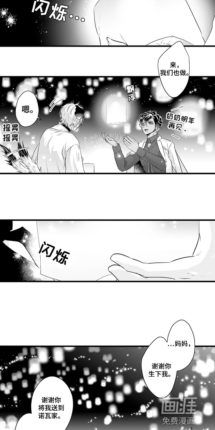 森林中的熊漫画在哪看漫画,第34章：光芒4图