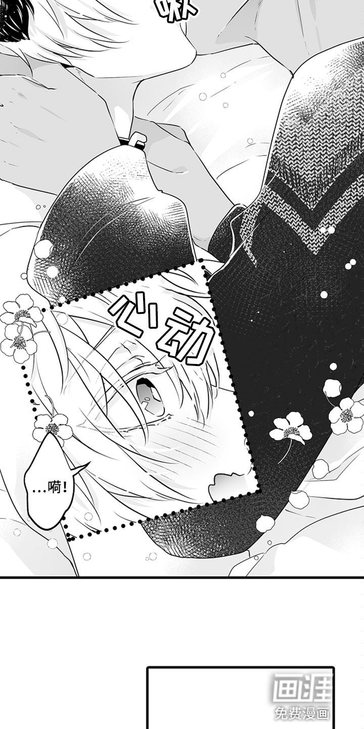 森林里的熊先生 动画片漫画,第26章：多费点心思2图