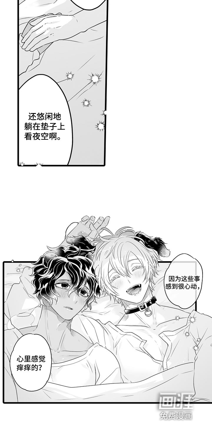 森林漫画图片漫画,第38章：心动12图