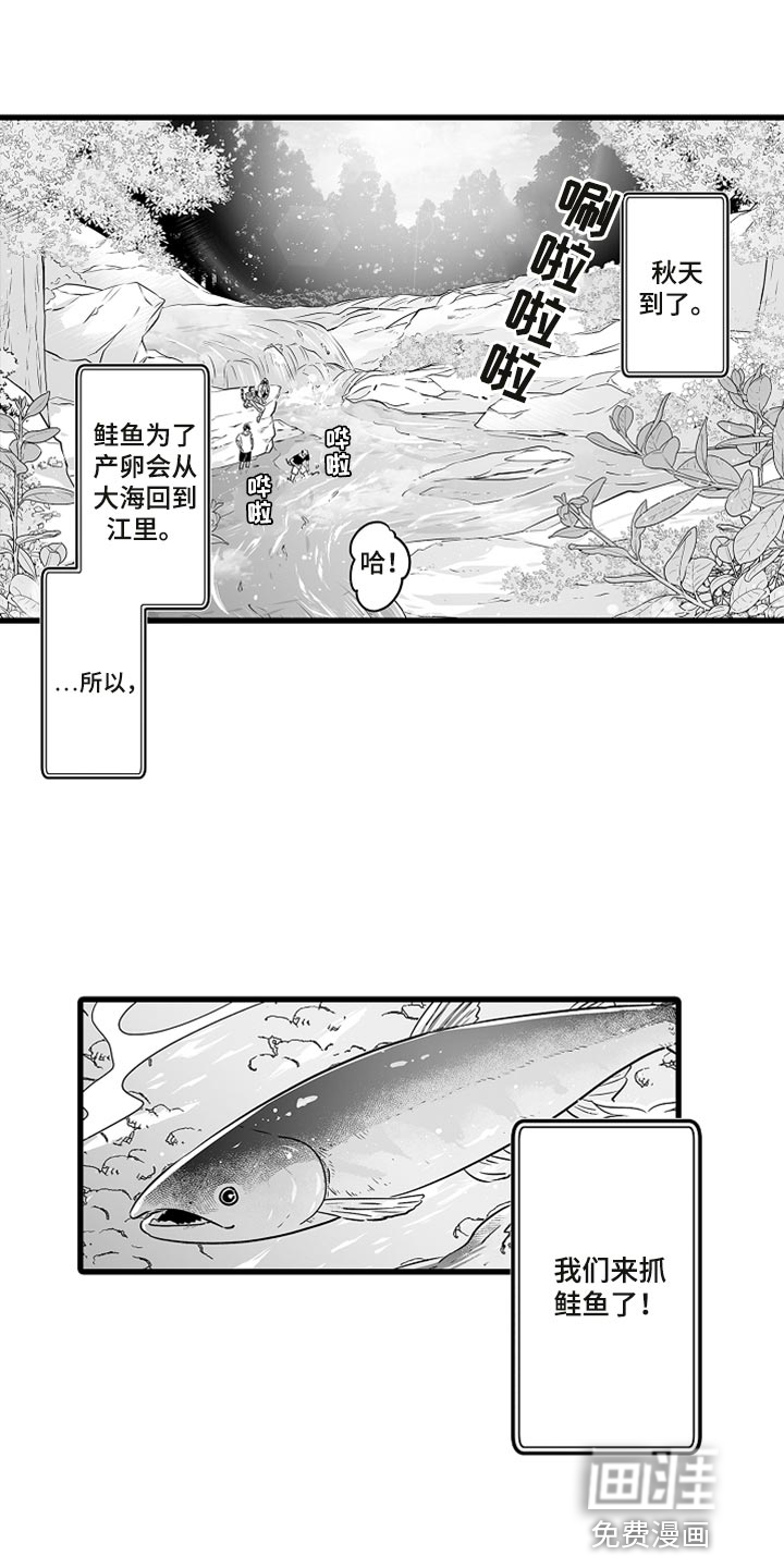 森林中的熊漫画漫画,第36章：抓鲑鱼1图