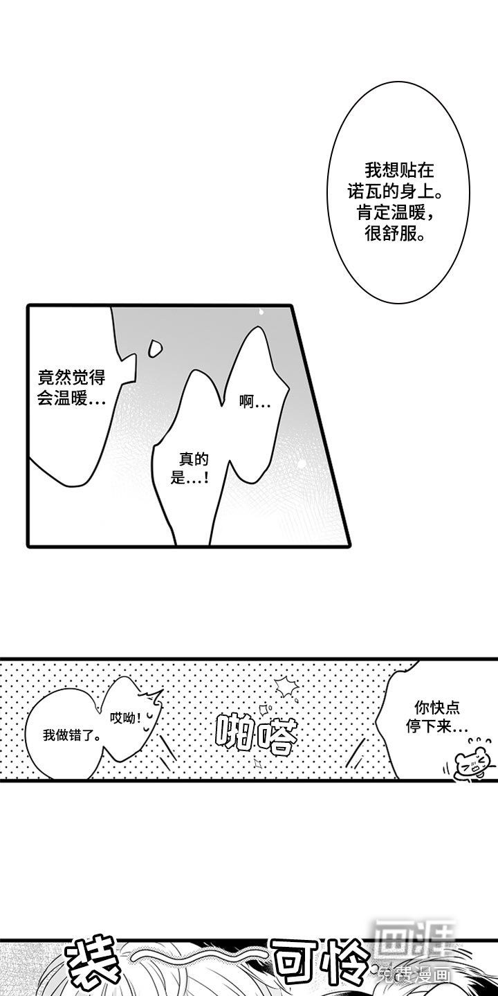 森林动物篝火漫画漫画,第43章：减肥7图