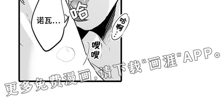 森林中的熊漫画漫画,第19章：睡懒觉14图