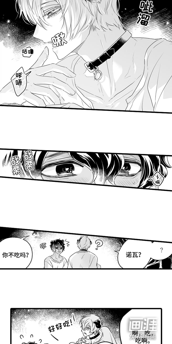 森林中的熊漫画漫画,第37章：野营15图