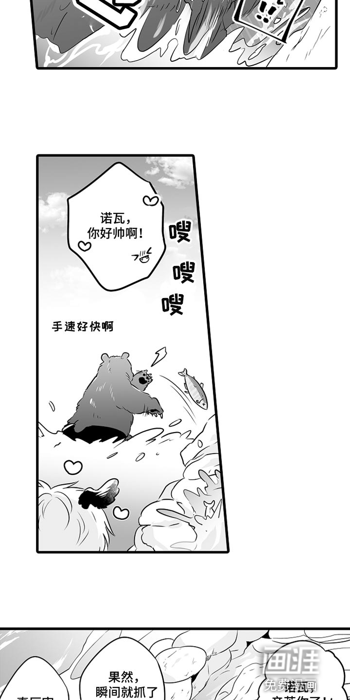 森林中的熊漫画漫画,第36章：抓鲑鱼9图