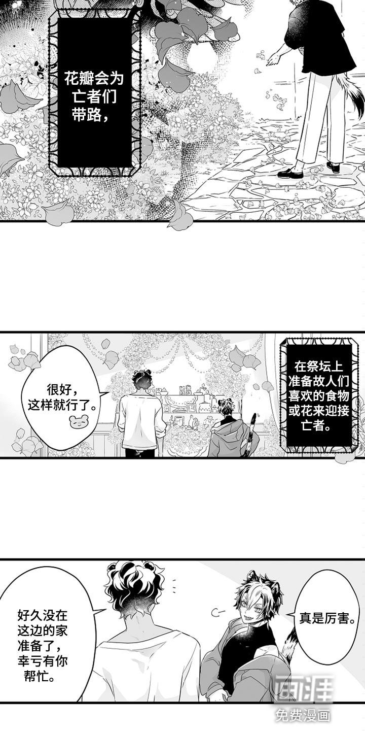 森林里的熊先生 动画片漫画,第32章：亡者日9图