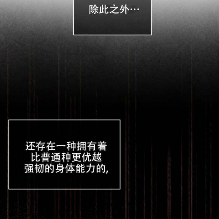 心动女房客漫画漫画,第41话 绯闻3图