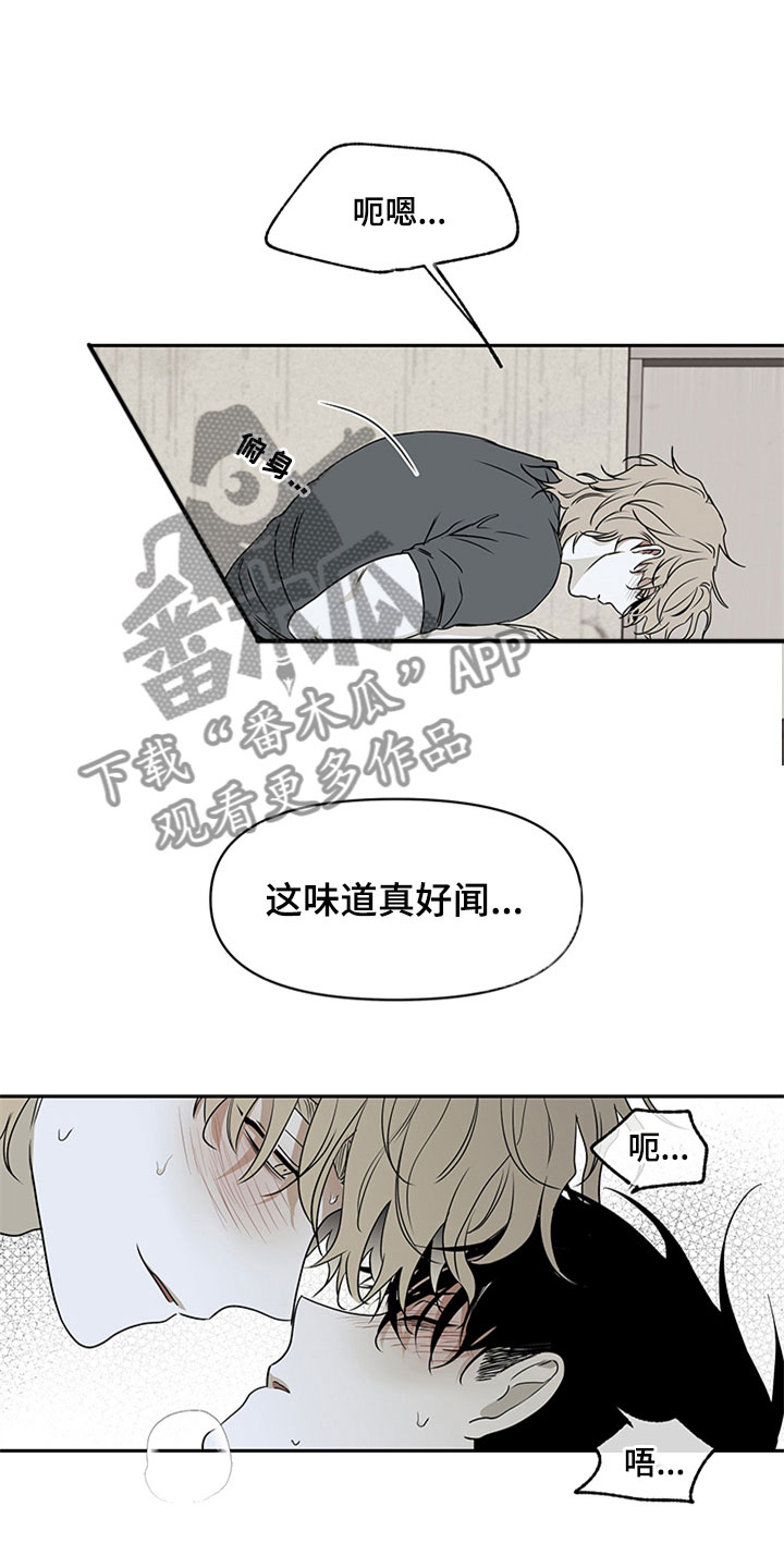 海之边境漫画漫画,第5章：容身之所12图