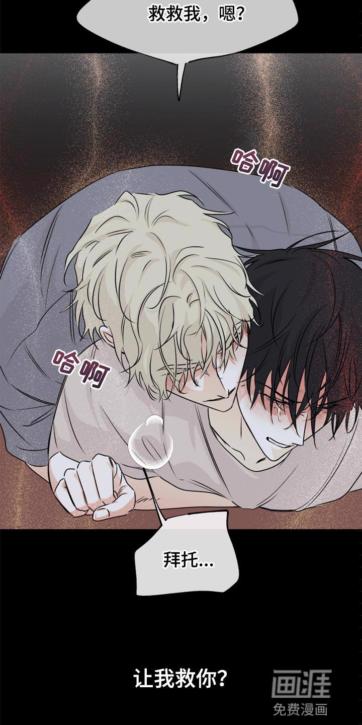海之边境漫画漫画,第54章：【预告】11图