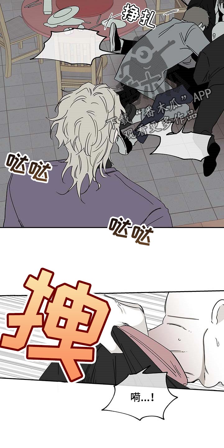 海之边境漫画第3季免费观看漫画,第17章：不能闯祸3图