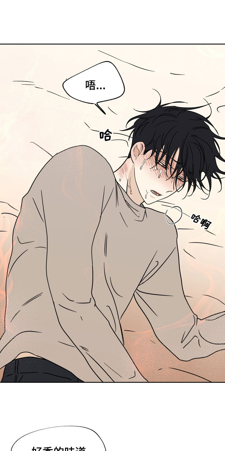 海之边境漫画漫画,第50章：催吐14图