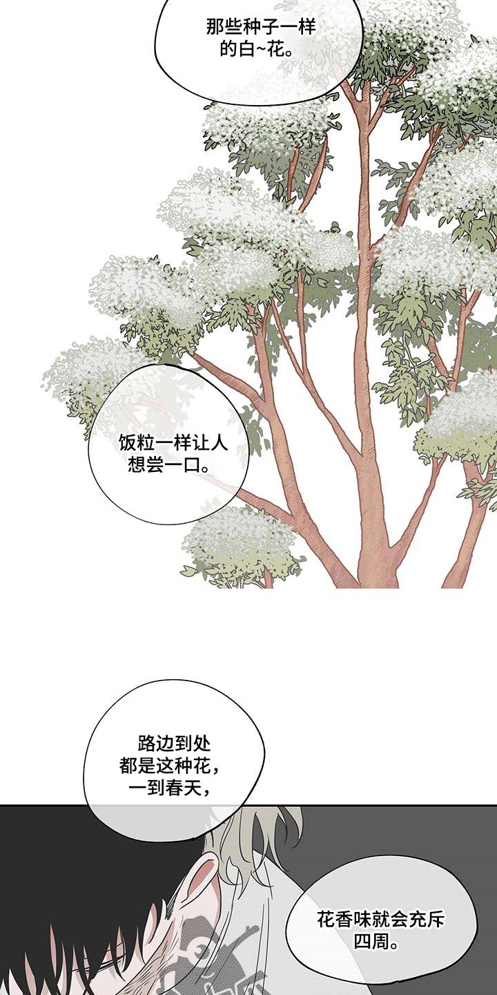 苍山脚下兰若寺漫画漫画,第26章：这是最好的2图