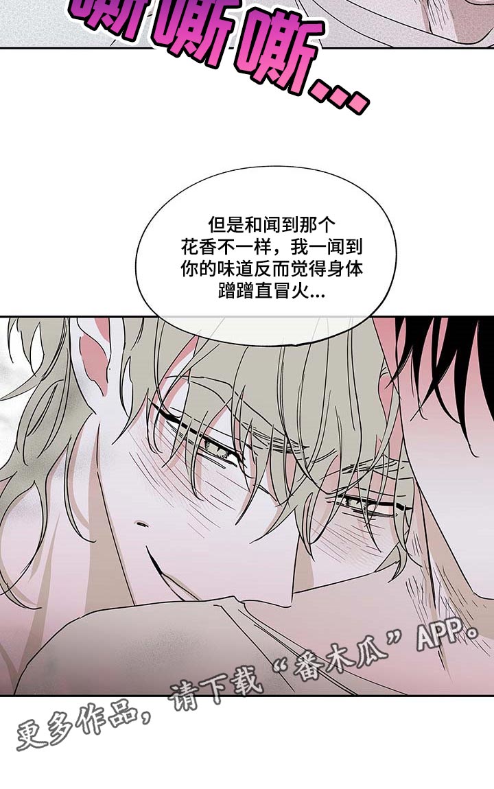海之边境漫画漫画,第19章：花香9图