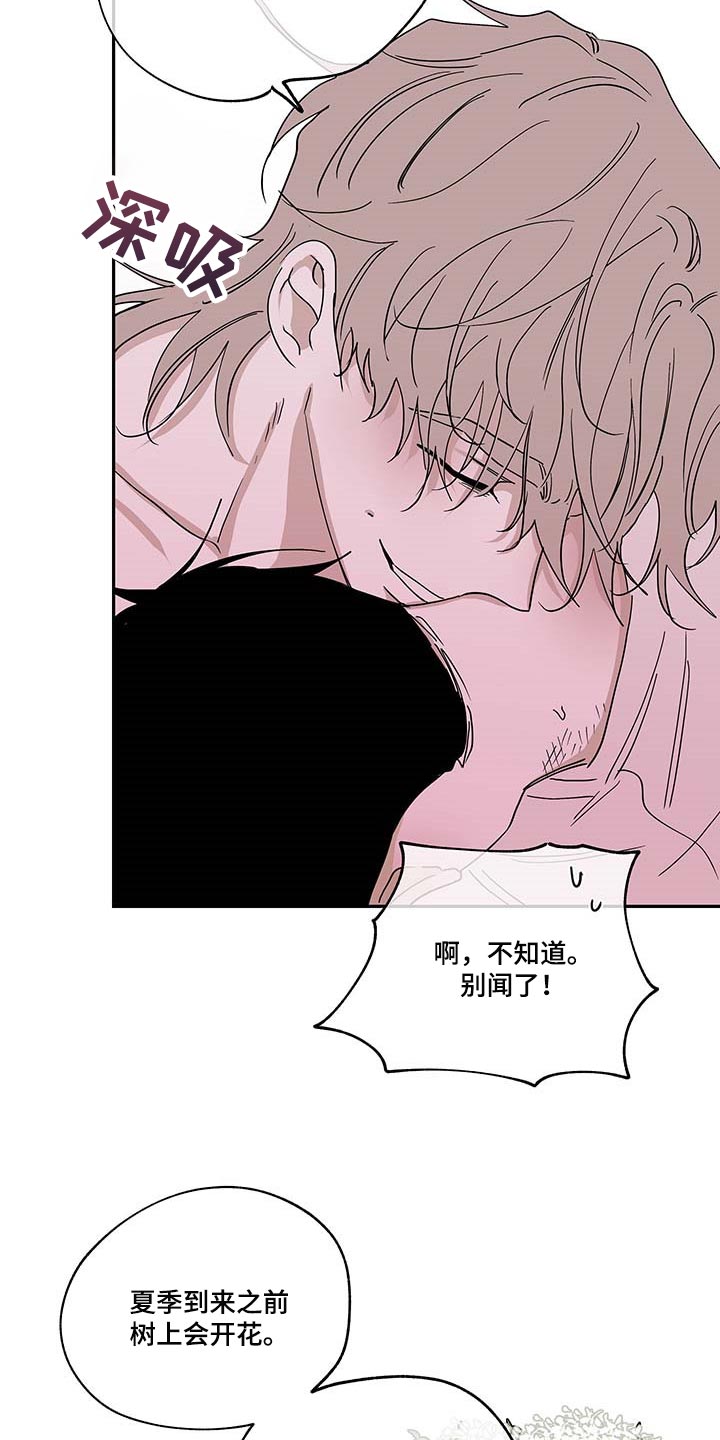 海之边境漫画漫画,第19章：花香6图