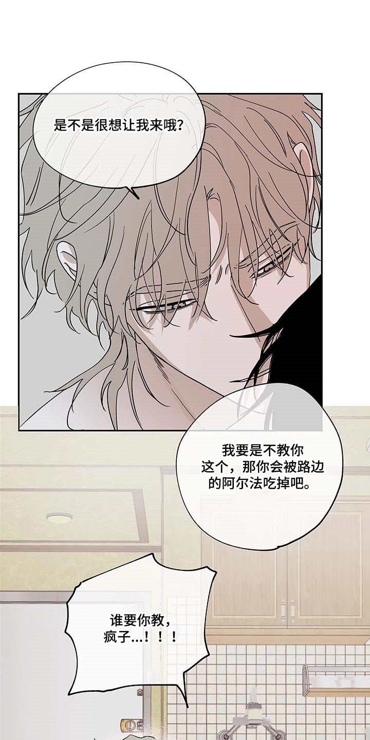海之边境漫画漫画,第21章：悲惨12图