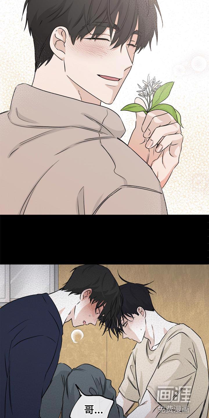 海之边境漫画漫画,第54章：【预告】2图