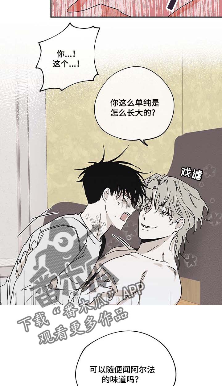 海之边境漫画漫画,第20章：味道3图