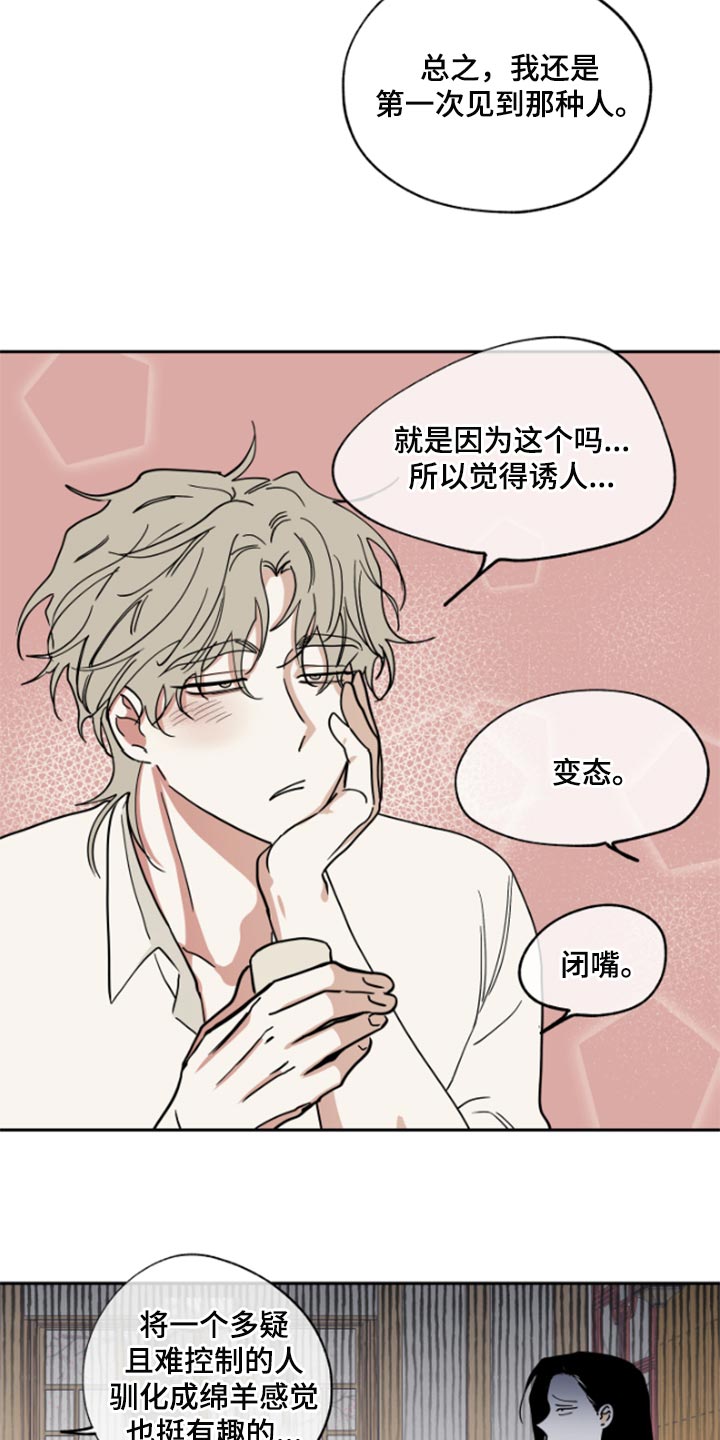 海之边境漫画一口气看完漫画,第31章：驯化2图