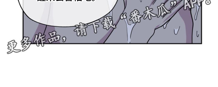 海之边境漫画一口气看完漫画,第26章：总能解决的17图