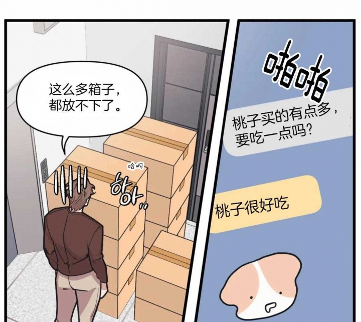 争宠精灵使漫画漫画,第71章：酒醒7图