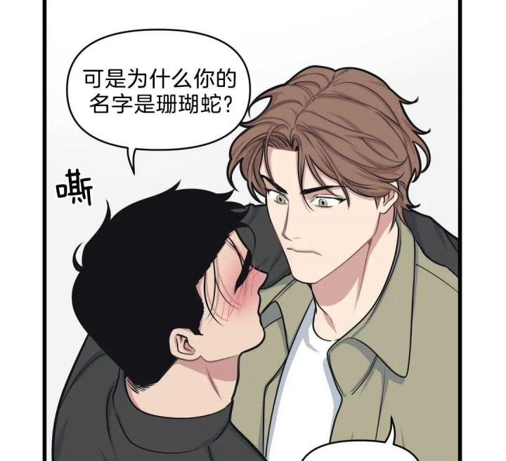 争宠精灵使漫画漫画,第3章：梦4图