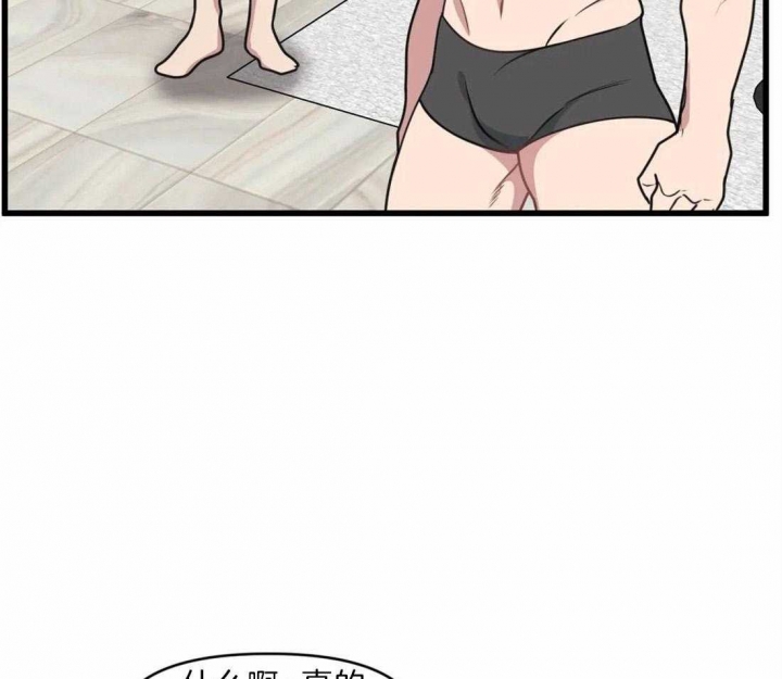 争宠精灵使漫画漫画,第10章：秘密4图