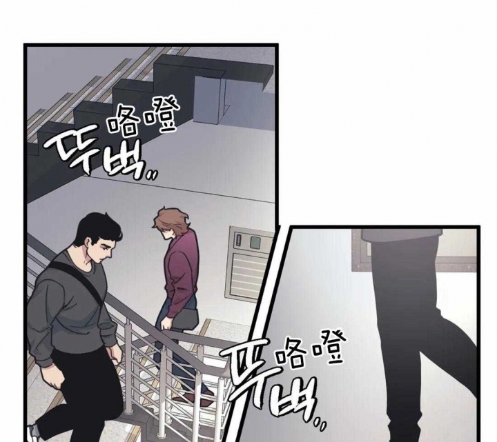 争宠精灵使漫画漫画,第7章：眼镜4图