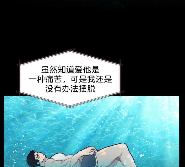 精灵使的剑舞原版漫画漫画,第79章：报复7图