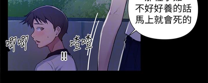 懵懂时光漫画176话漫画,第118话68图