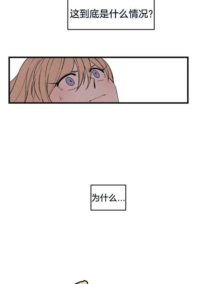 摄影风格漫画漫画,第142章：你很漂亮6图