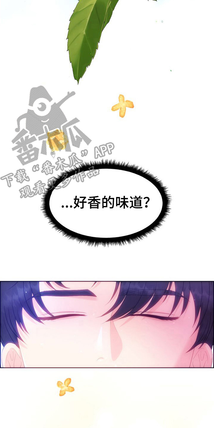 小野猫驯服手册第二十话漫画,第26章：借口 1图