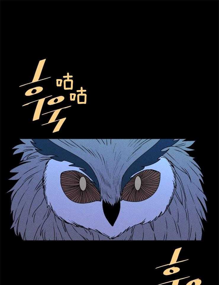 腹黑女的异想世界漫画漫画,第59话 祭品的逃亡5图