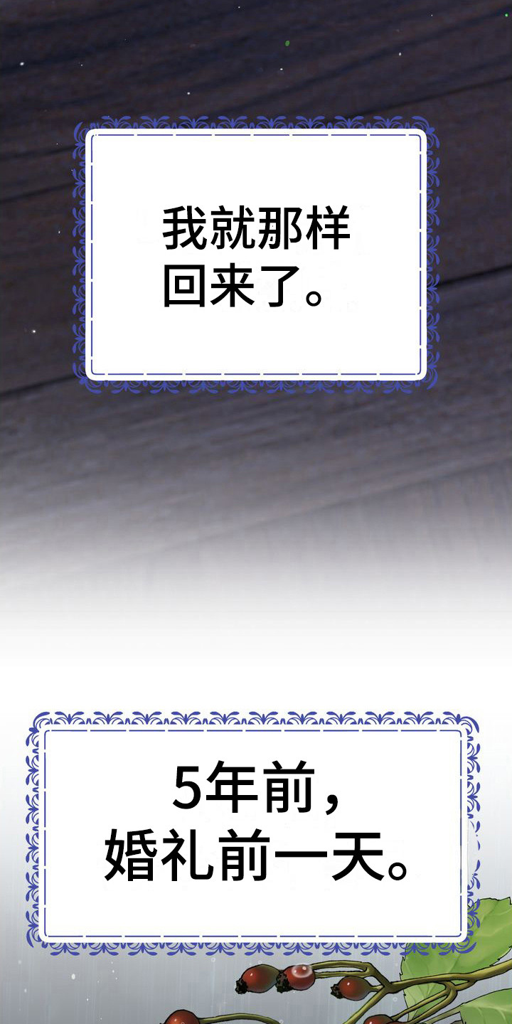 小野猫驯服手册漫画漫画,第4章：婚礼前夕2图