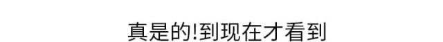 很纯很暧昧免费观看漫画,第14话5图