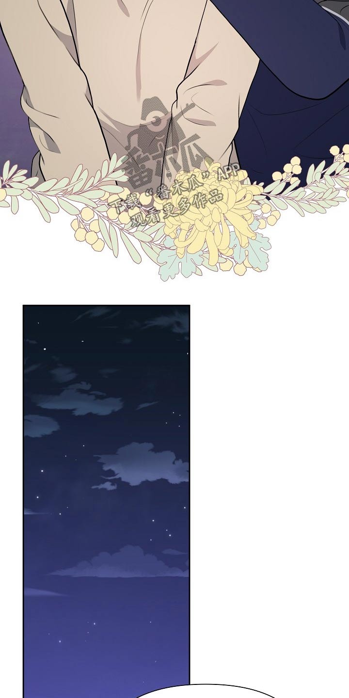 赞助者12篇免费观看漫画,第56章：汇报5图