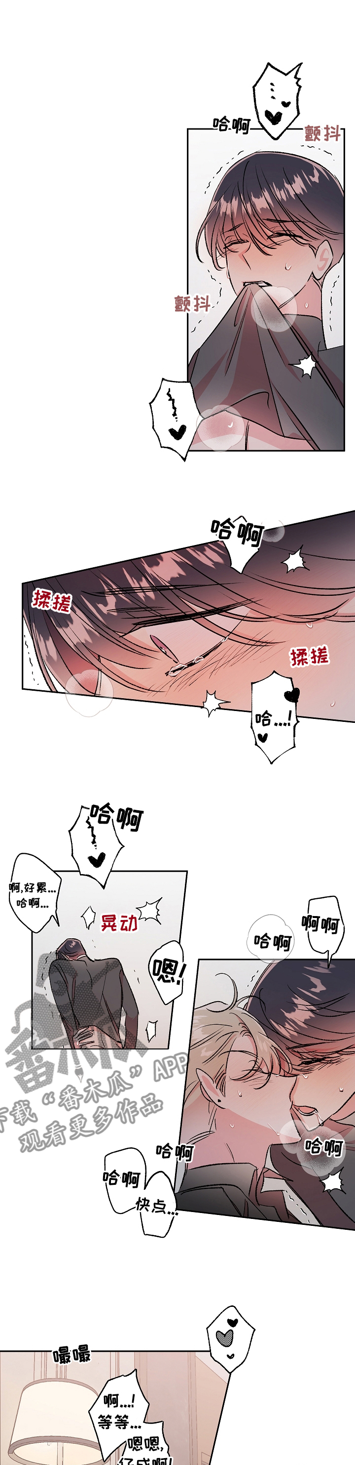 清炖偶像的深夜直播漫画免费漫画,第42章：最后一次直播1图